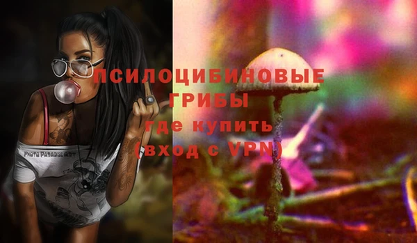 эйфоретик Новозыбков