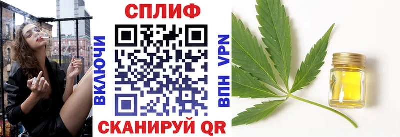 Канабис сатива  KRAKEN ТОР  Южа 